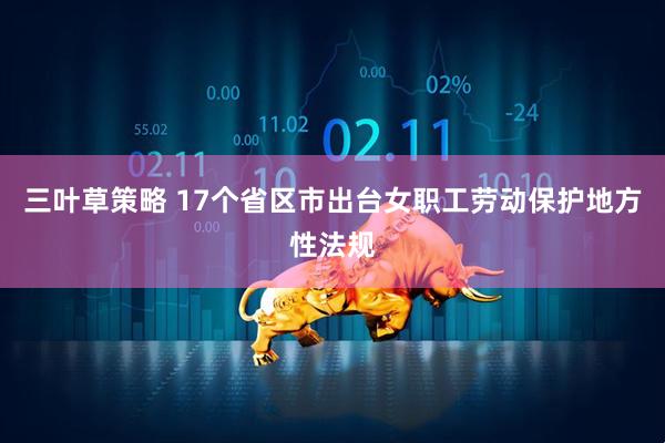 三叶草策略 17个省区市出台女职工劳动保护地方性法规