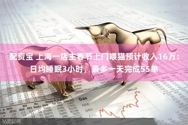 配资宝 上海一店主春节上门喂猫预计收入16万：日均睡眠3小时，最多一天完成55单