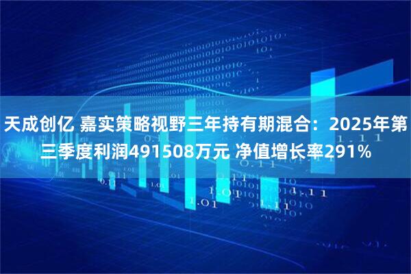 天成创亿 嘉实策略视野三年持有期混合：2025年第三季度利润491508万元 净值增长率291%