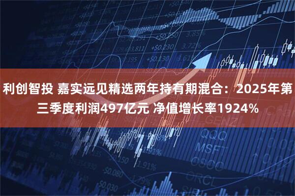利创智投 嘉实远见精选两年持有期混合：2025年第三季度利润497亿元 净值增长率1924%